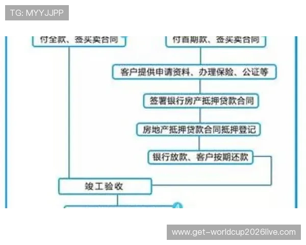 博乐体育app官网详细解析注册流程、账号安全保障以及多样化的体育娱乐服务